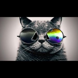 Meet your Posher, Billy